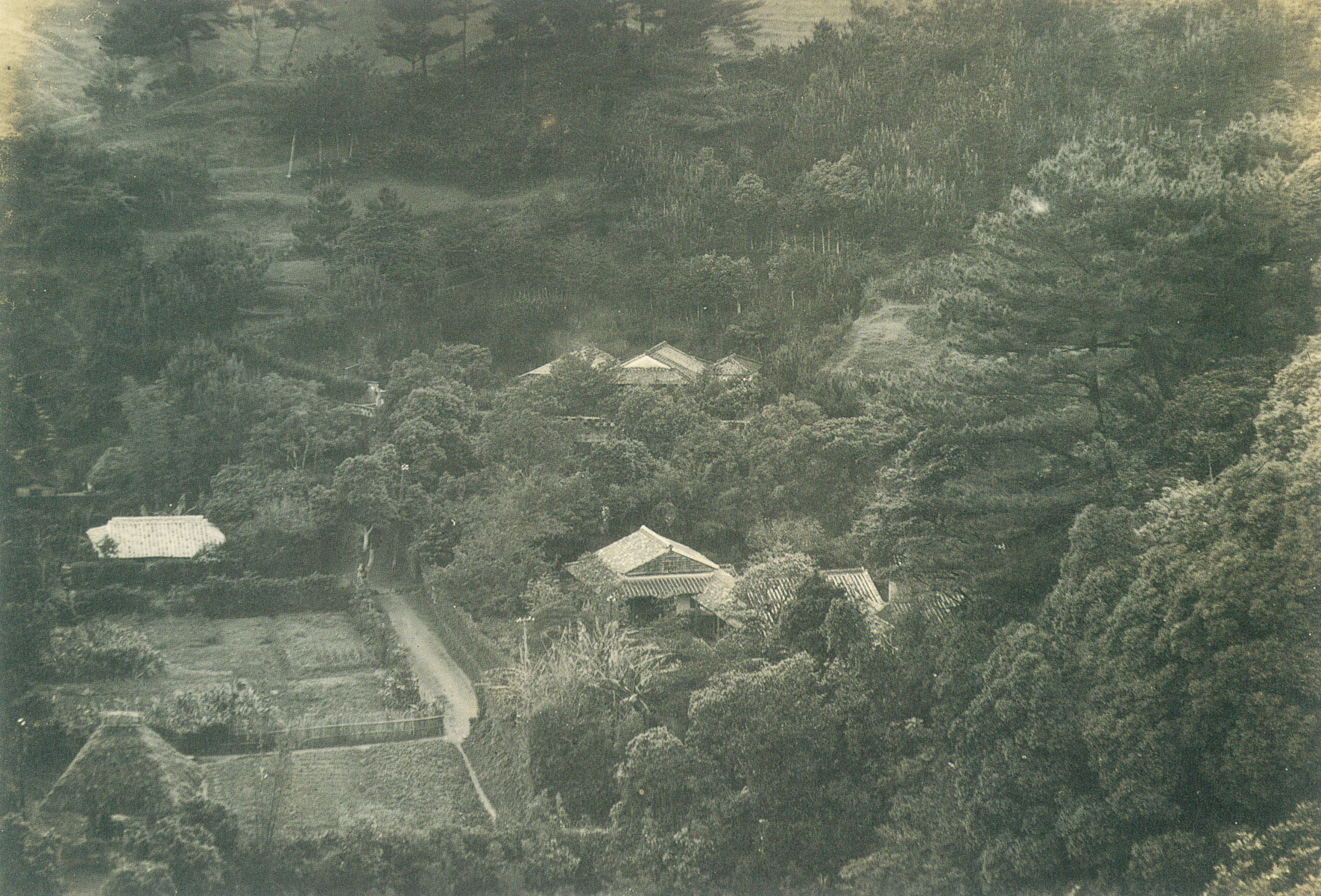 生家